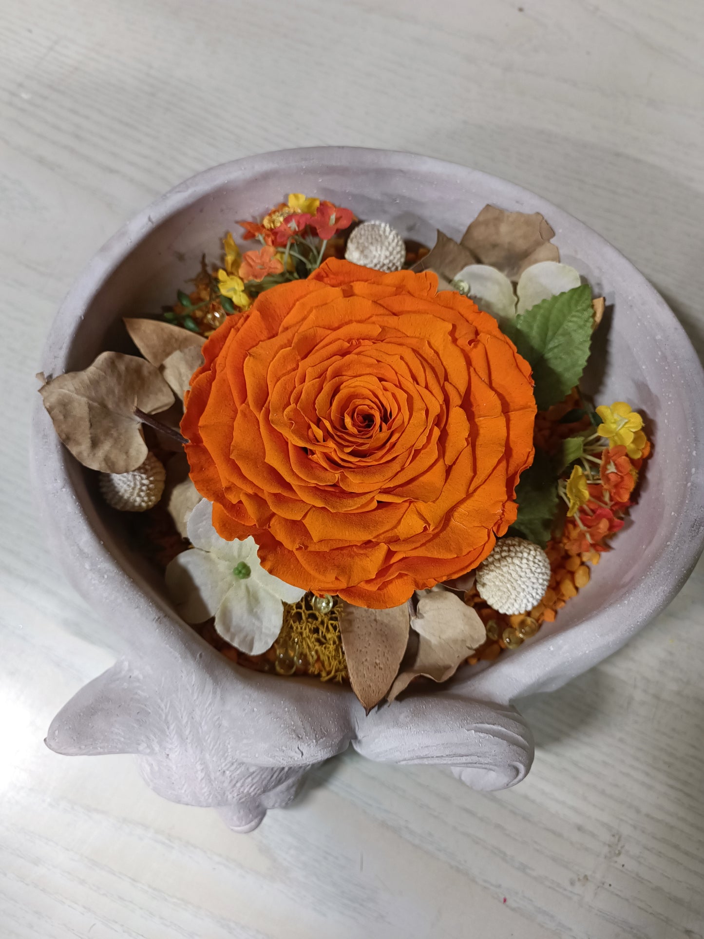 Composizione con rosa stabilizzata