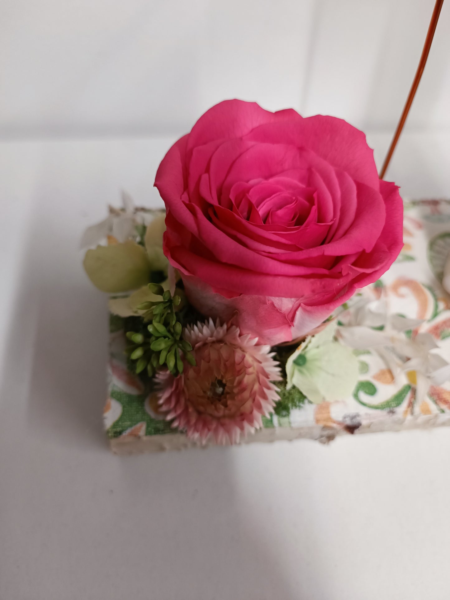 Composizione con rosa stabilizzata