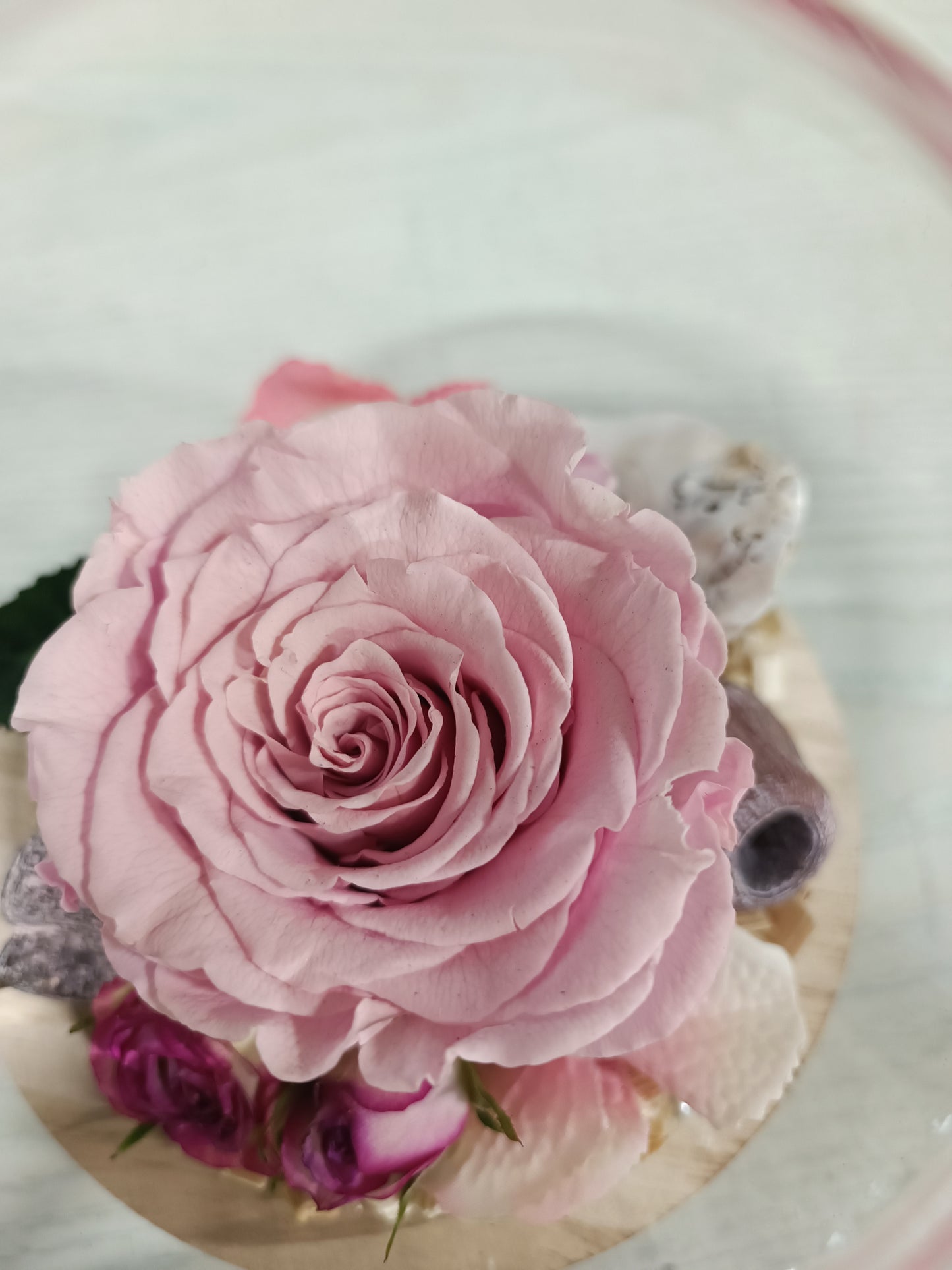 Composizione con rosa stabilizzata