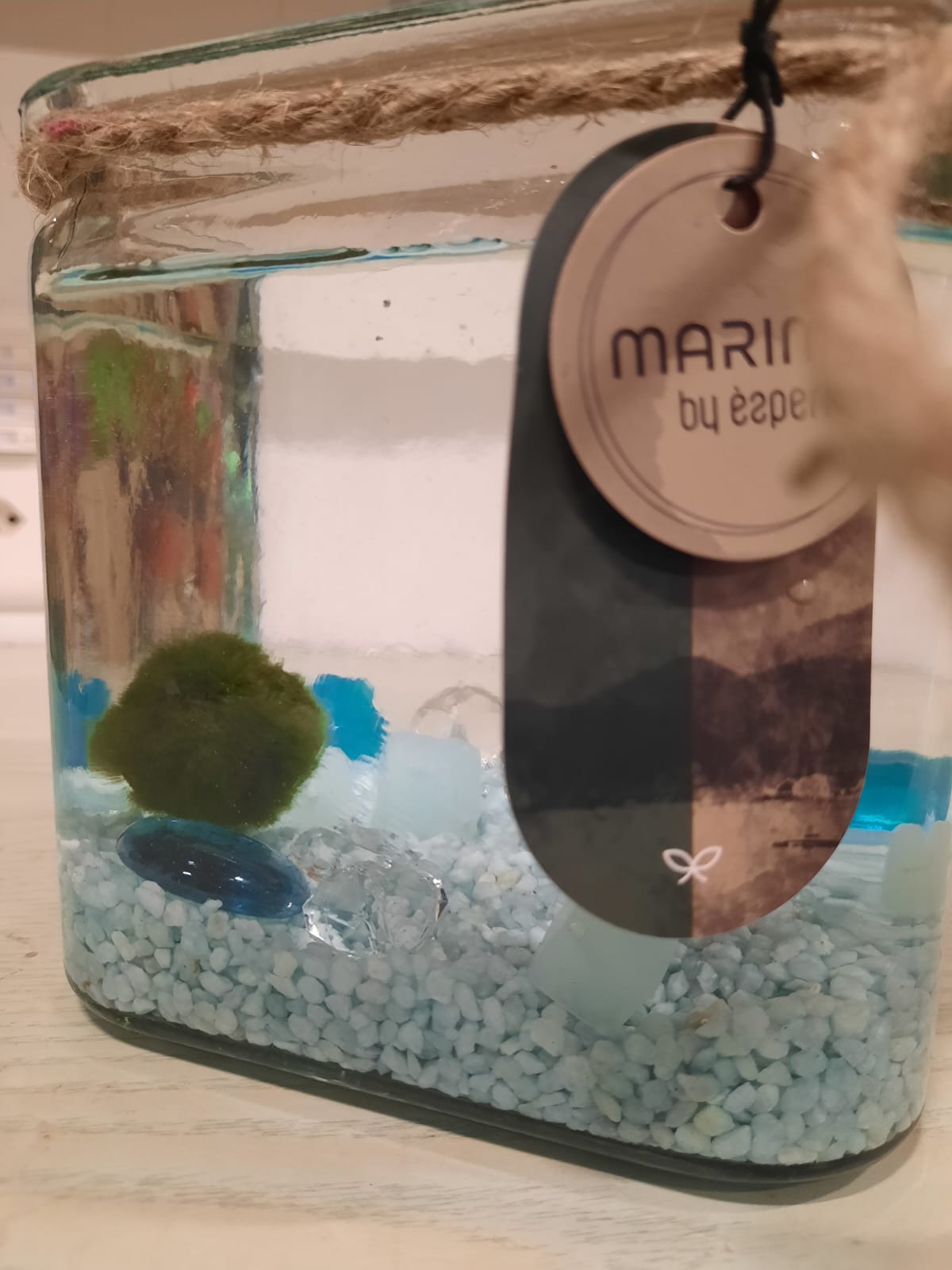 Marimo