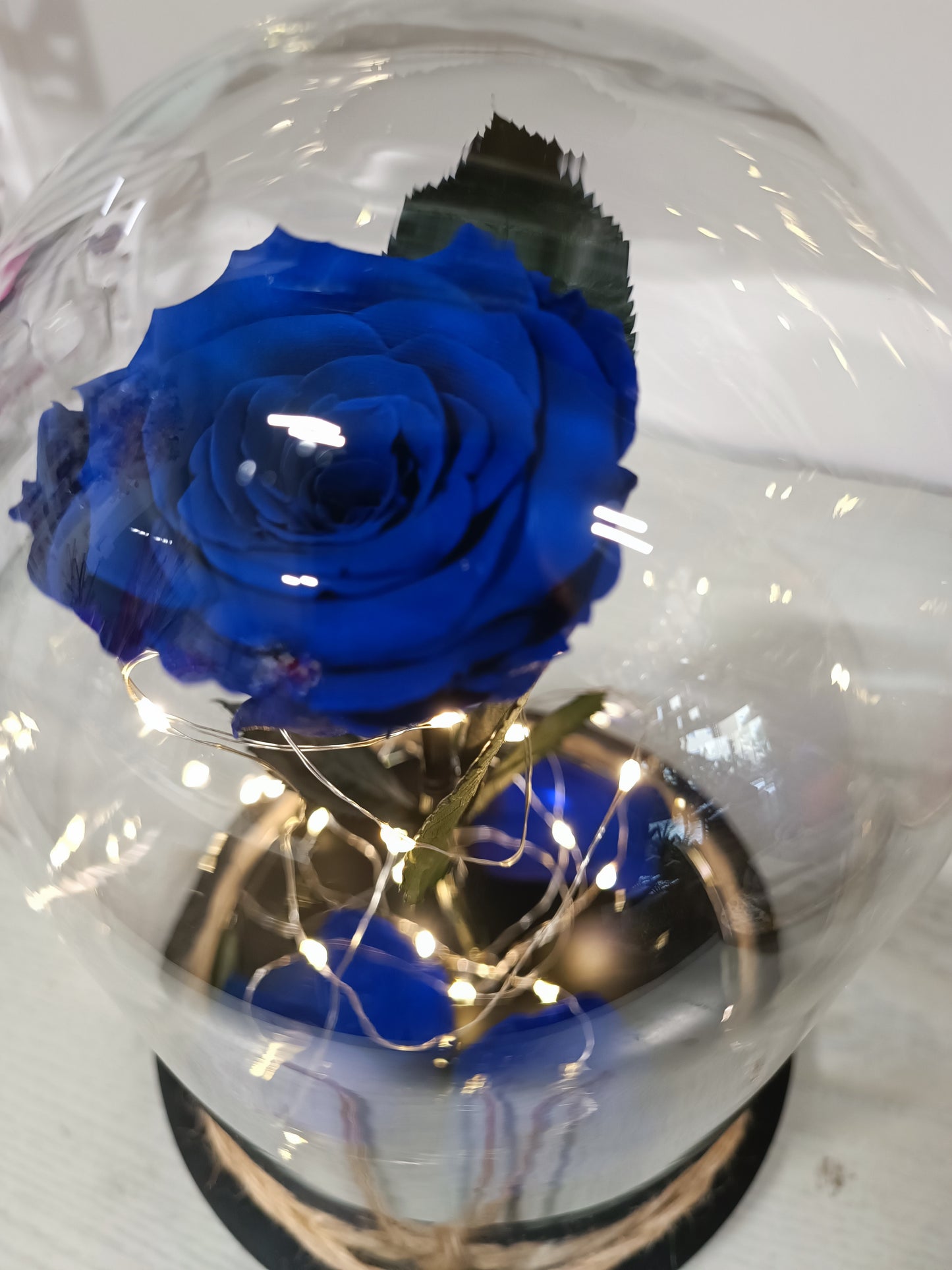 Cupola di vetro con rosa stabilizzata