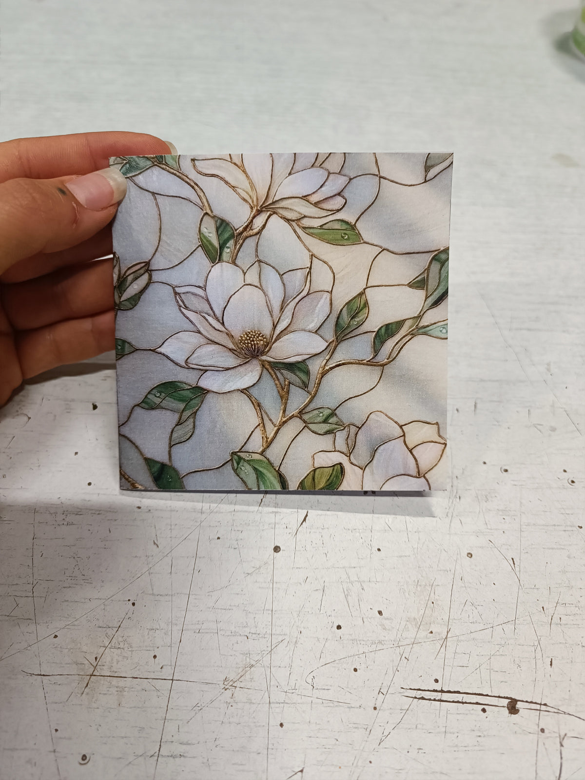 Cartolina 'Magnolia'
