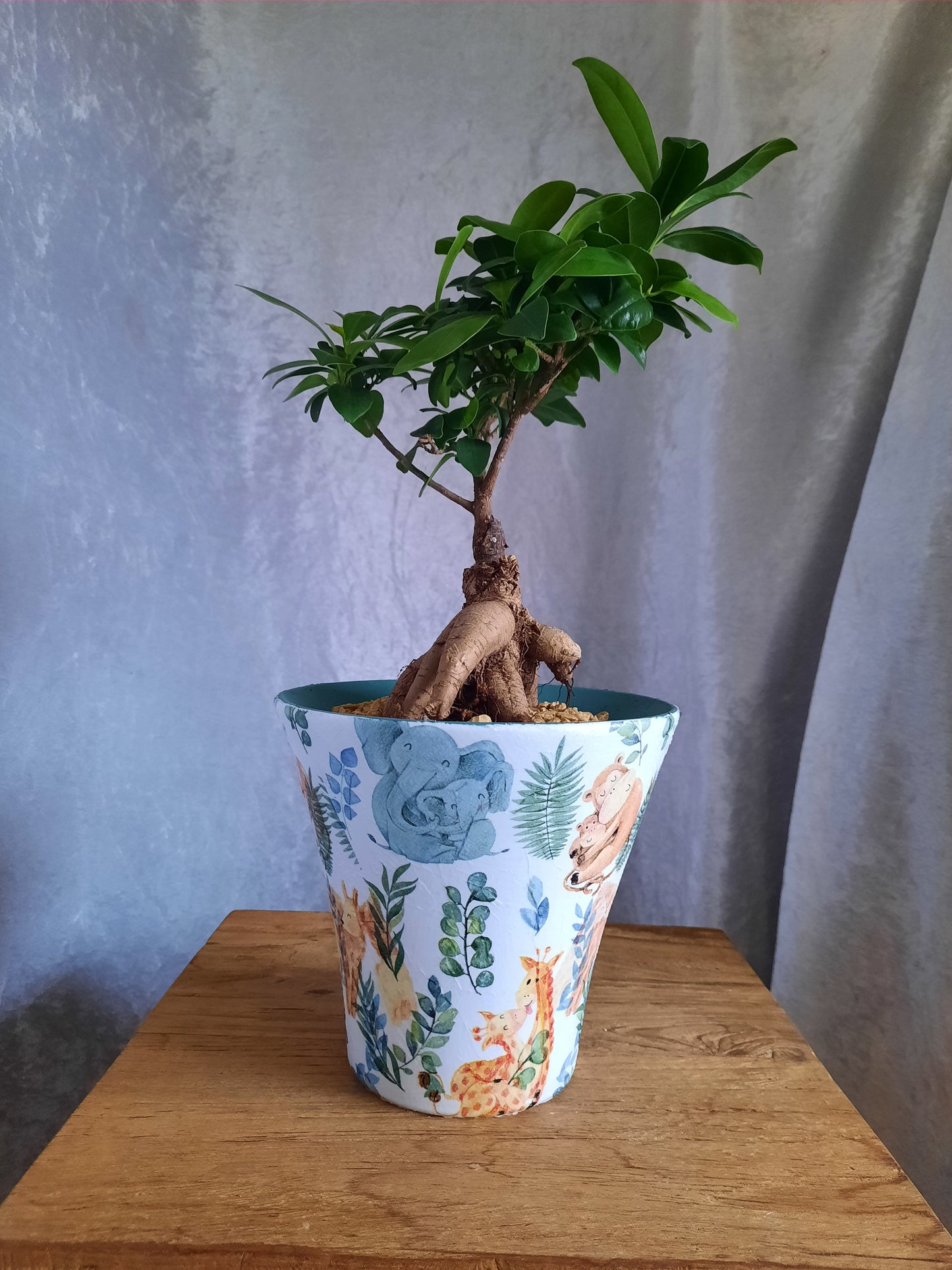 Bonsai con vaso