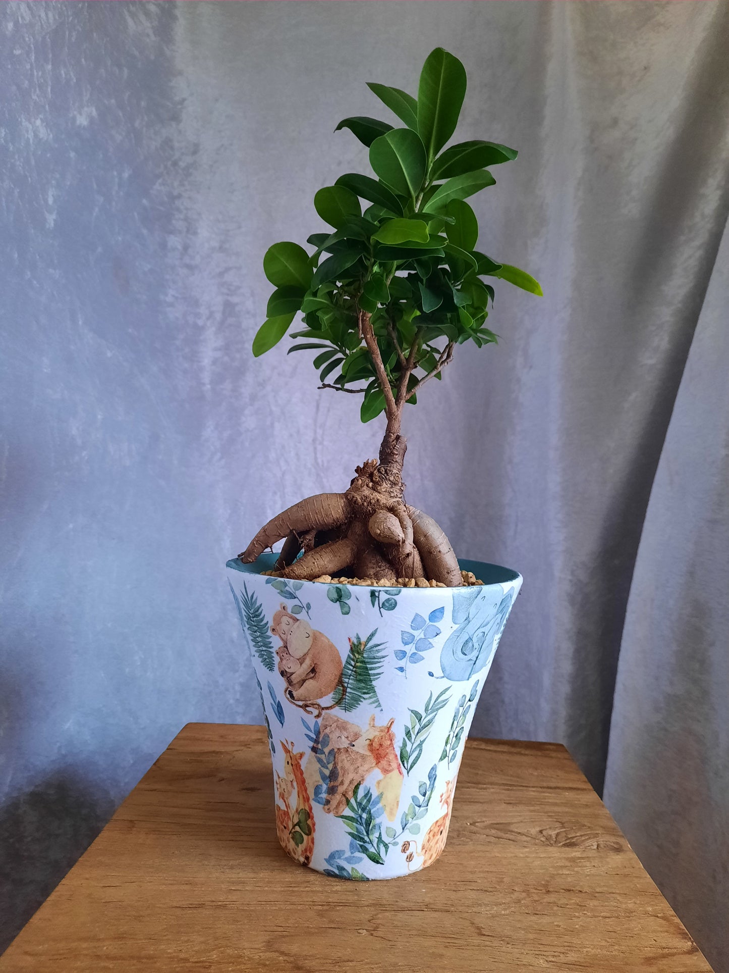 Bonsai con vaso