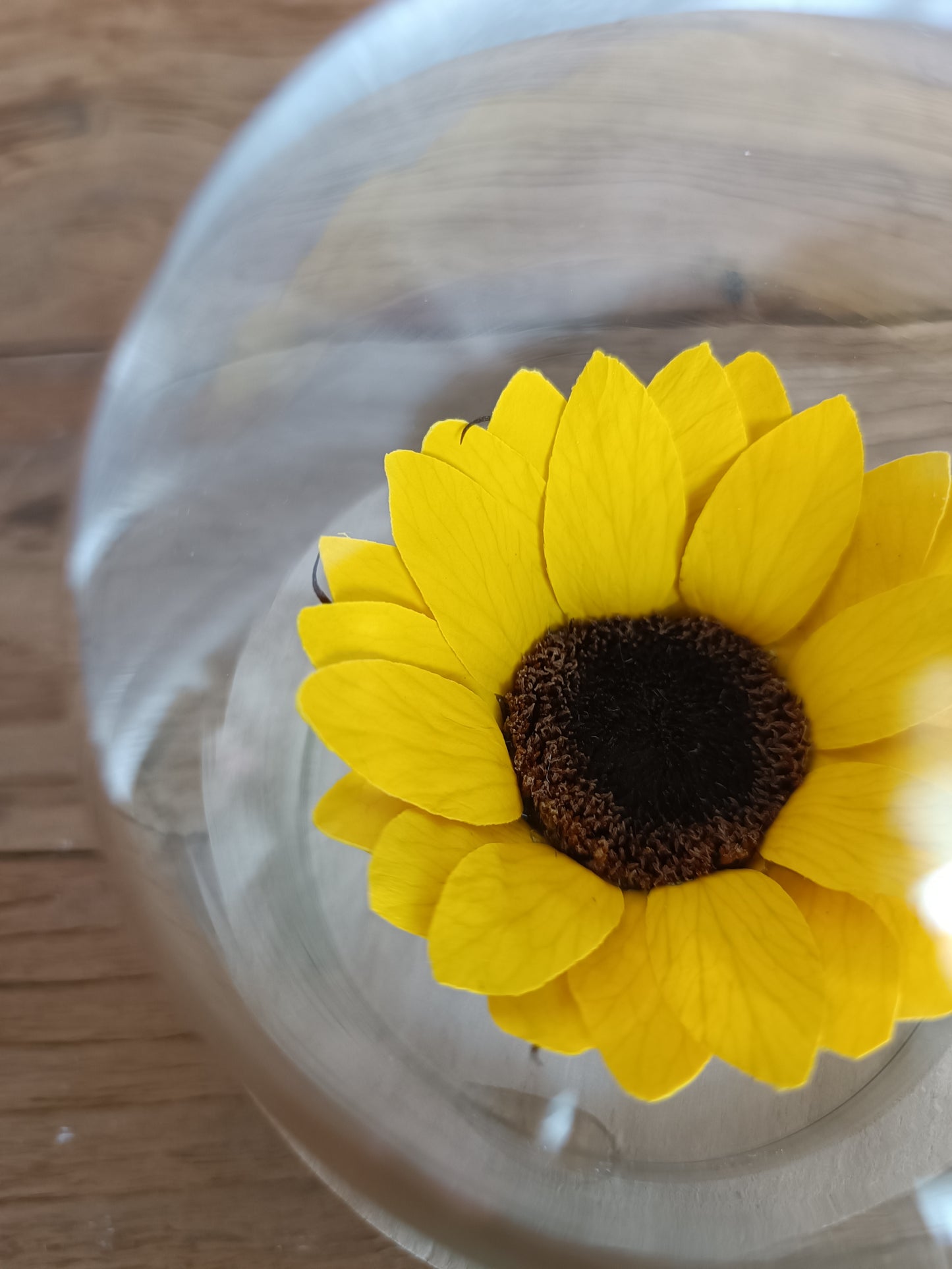 Cupola con Girasole stabilizzato