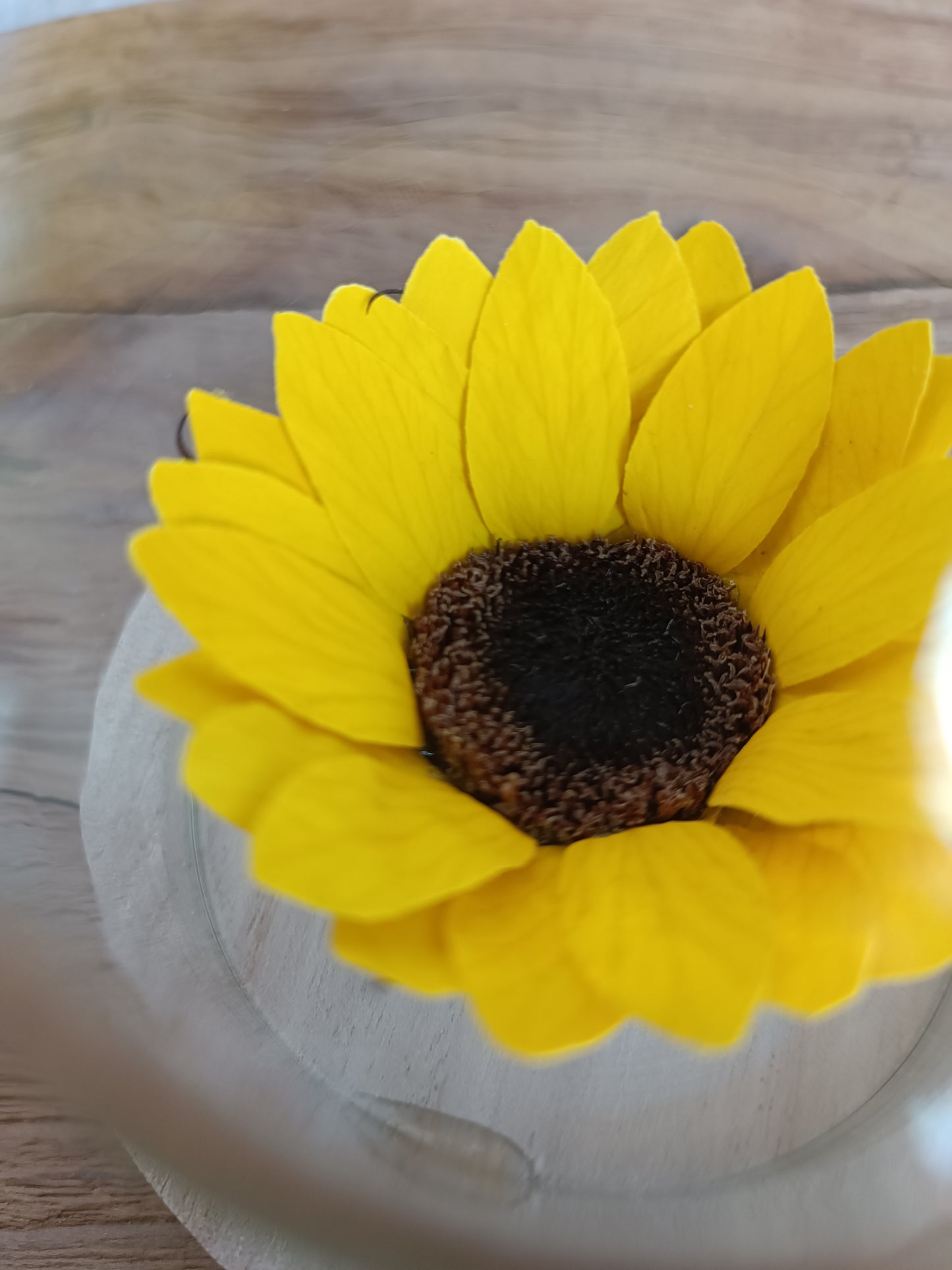 Cupola con Girasole stabilizzato