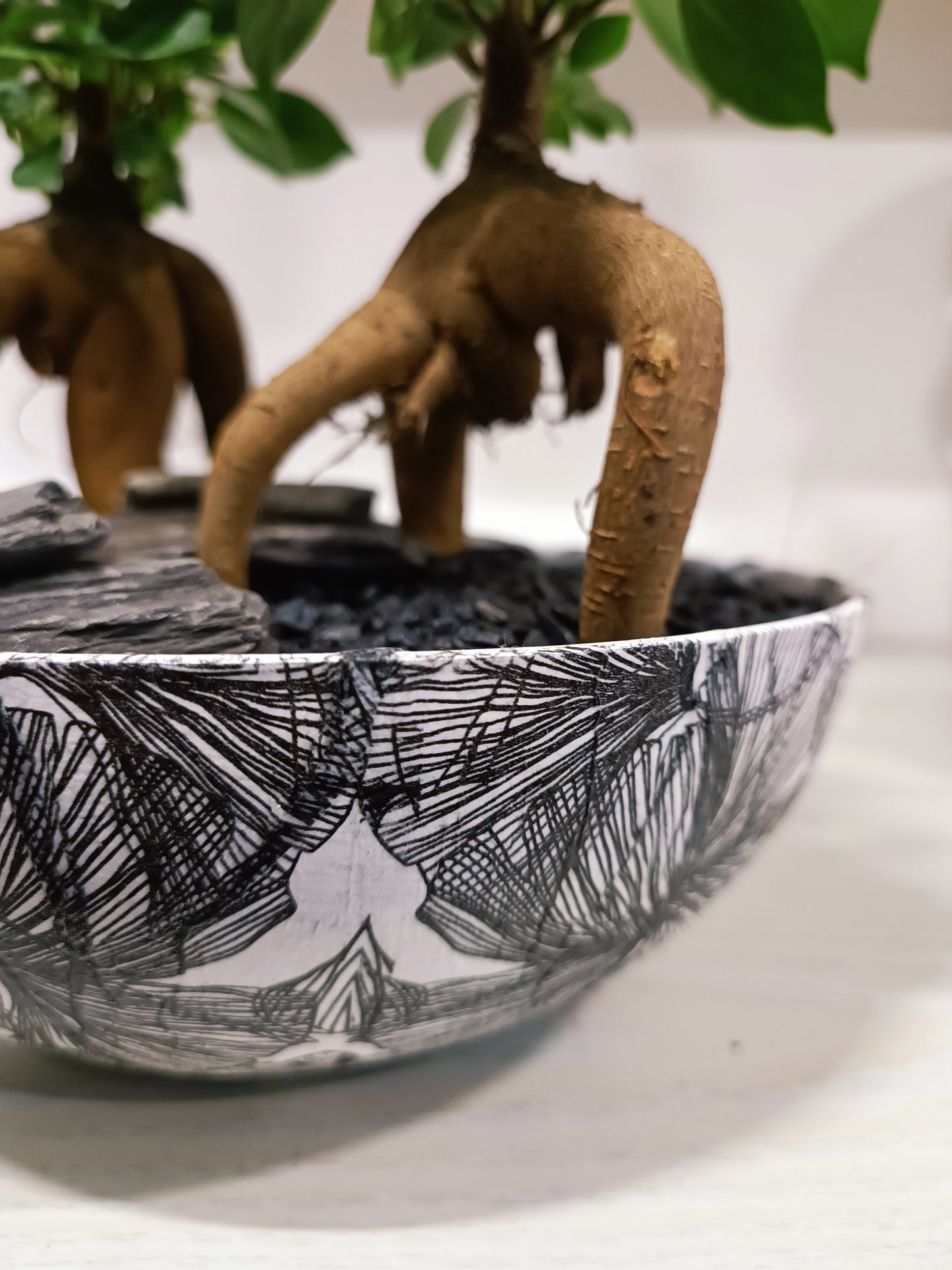 Bonsai con vaso