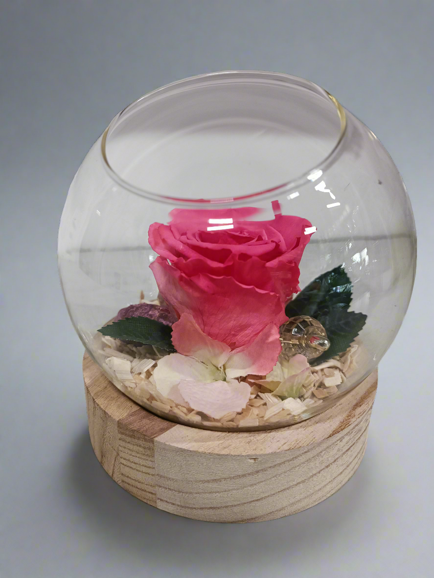 Composizione con rosa stabilizzata