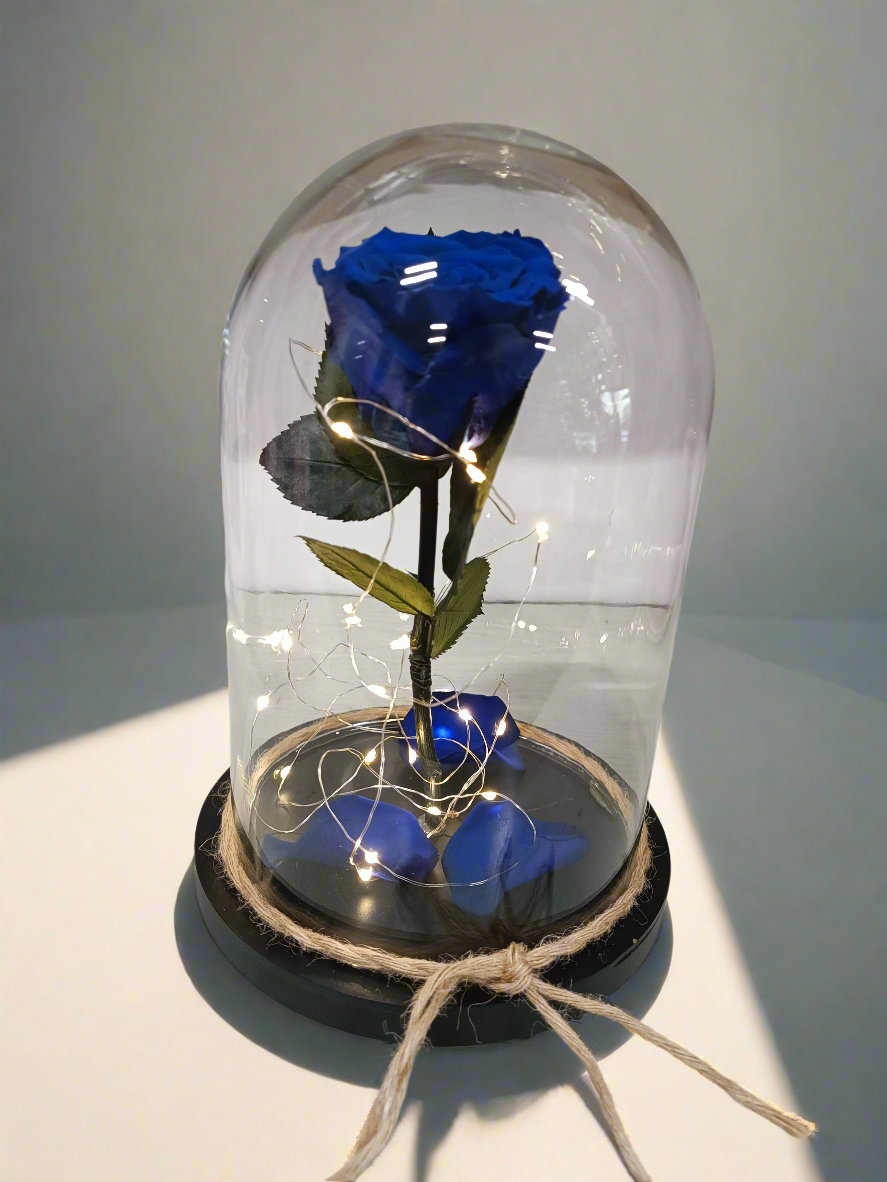 Cupola di vetro con rosa stabilizzata