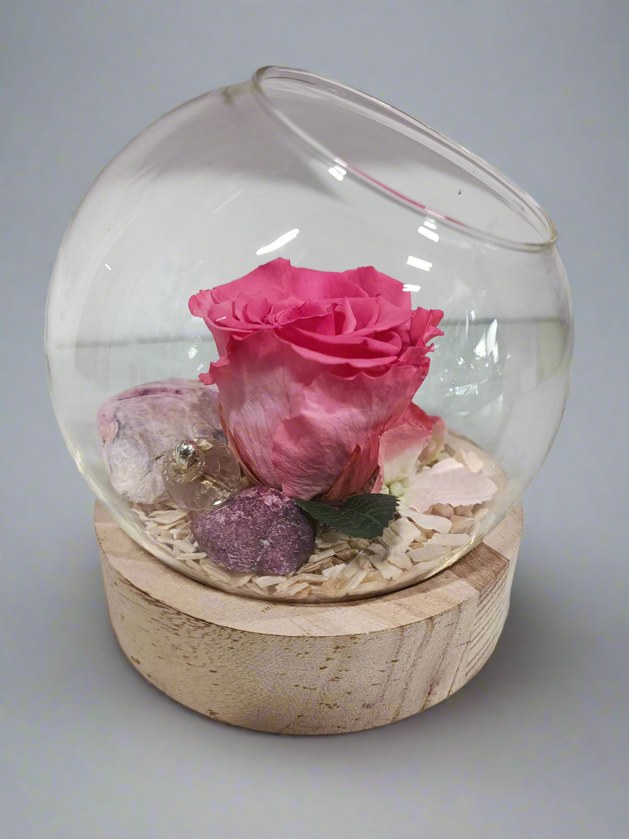 Composizione con rosa stabilizzata