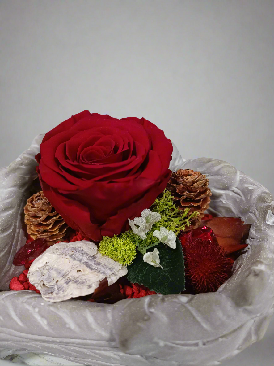 Composizione con rosa stabilizzata