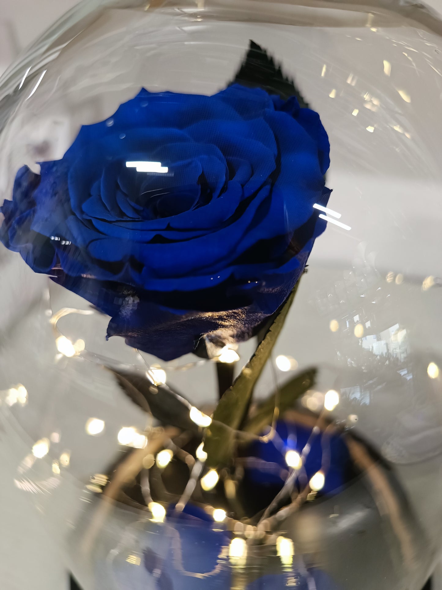 Cupola di vetro con rosa stabilizzata