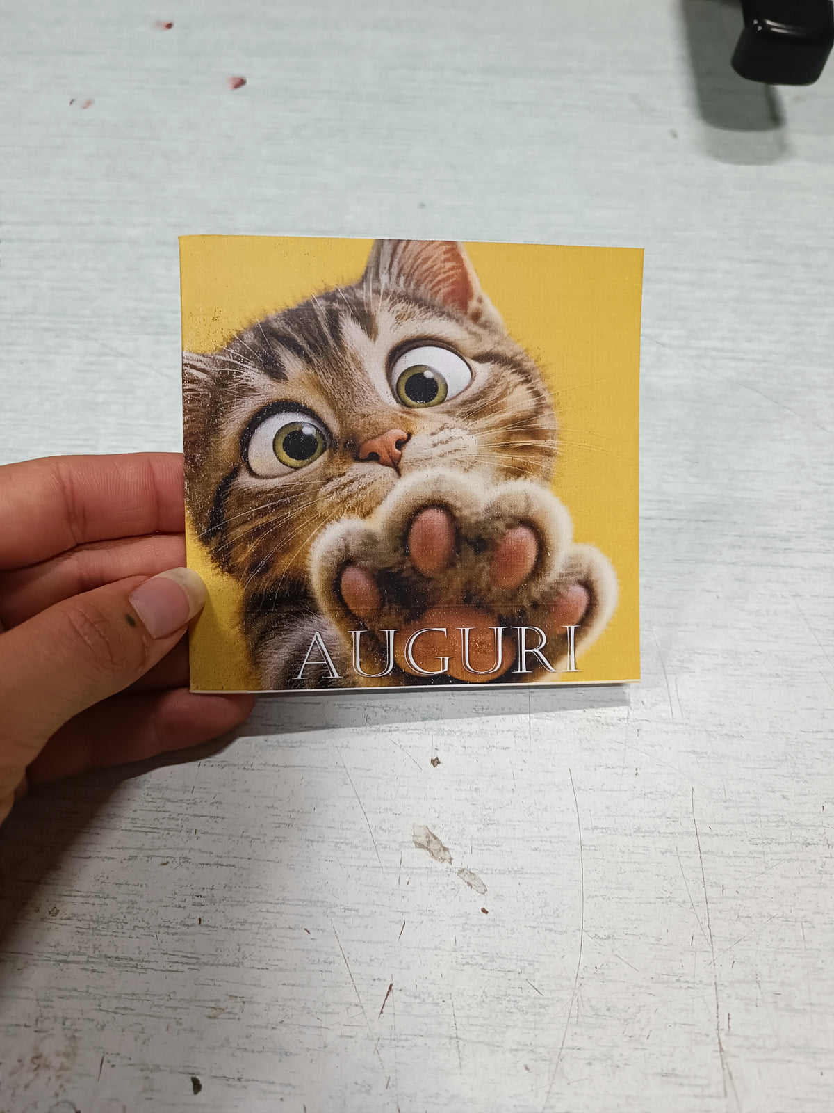 Cartolina 'Miao Auguri!' 😺