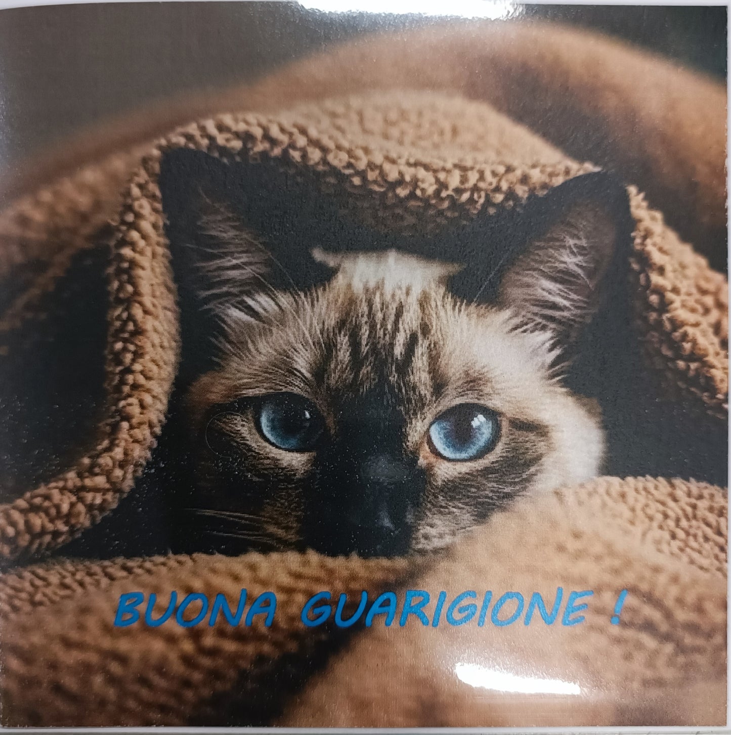 Cartolina Miao 'buona guarigione'