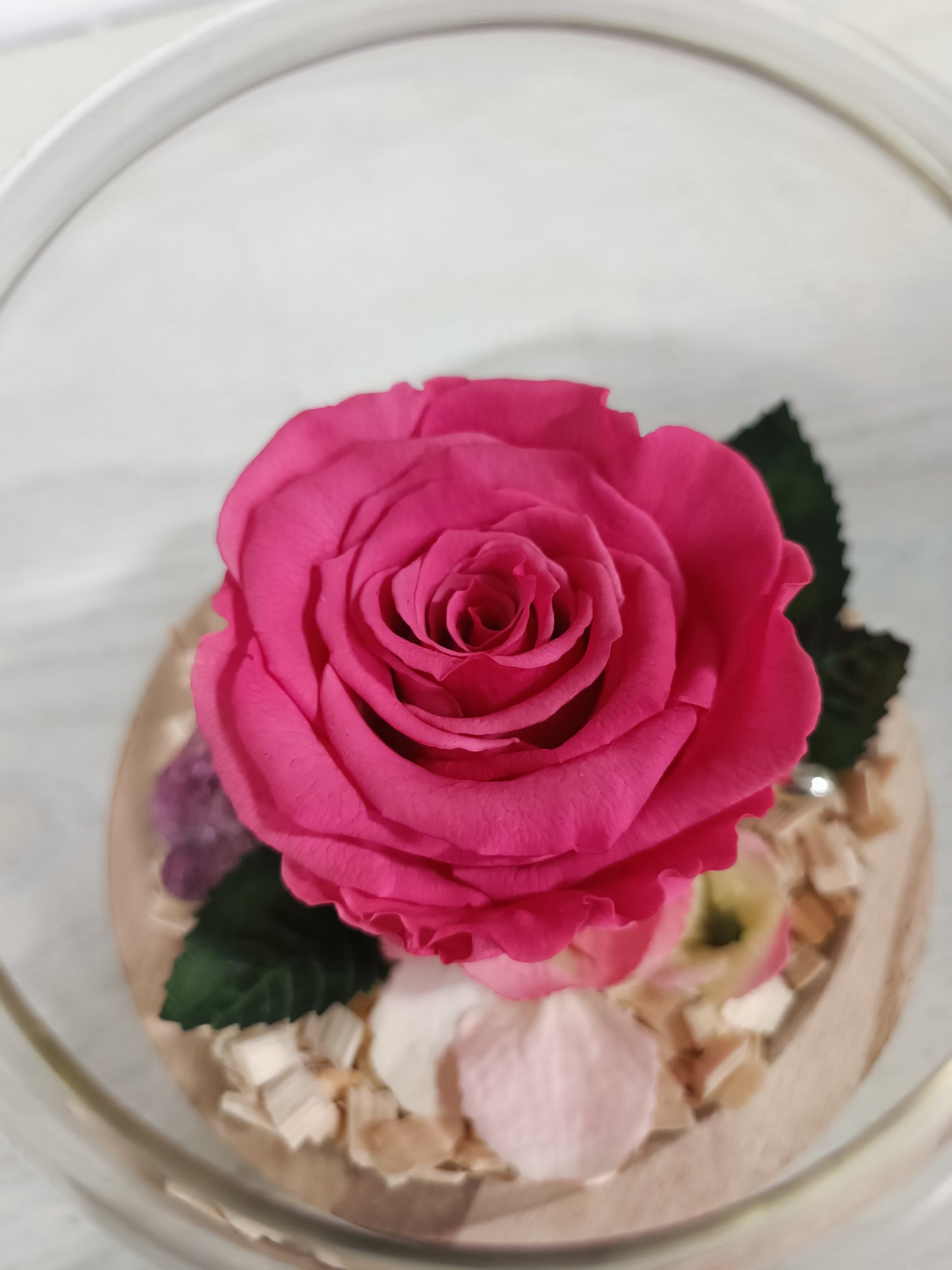 Composizione con rosa stabilizzata