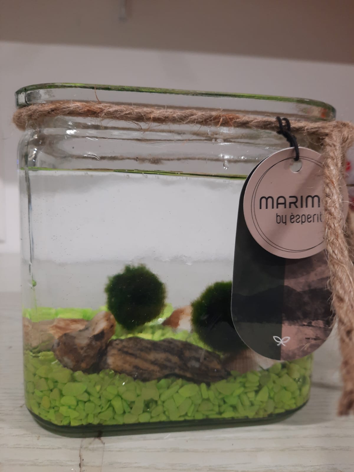Marimo