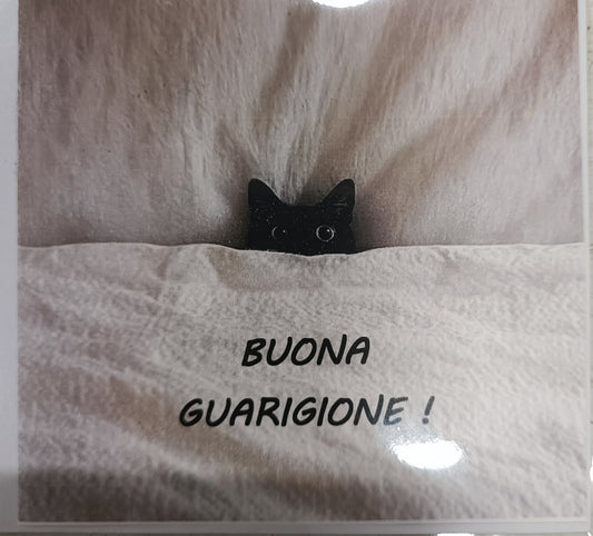 Cartolina 'buona guarigione' 🐈‍⬛