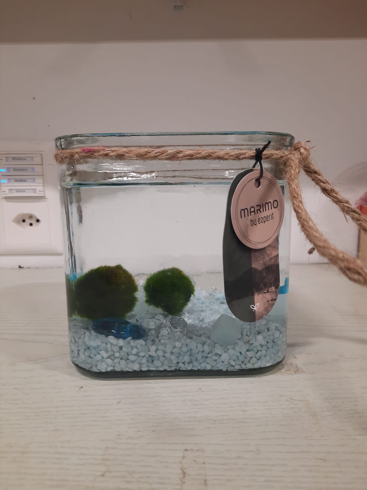 Marimo